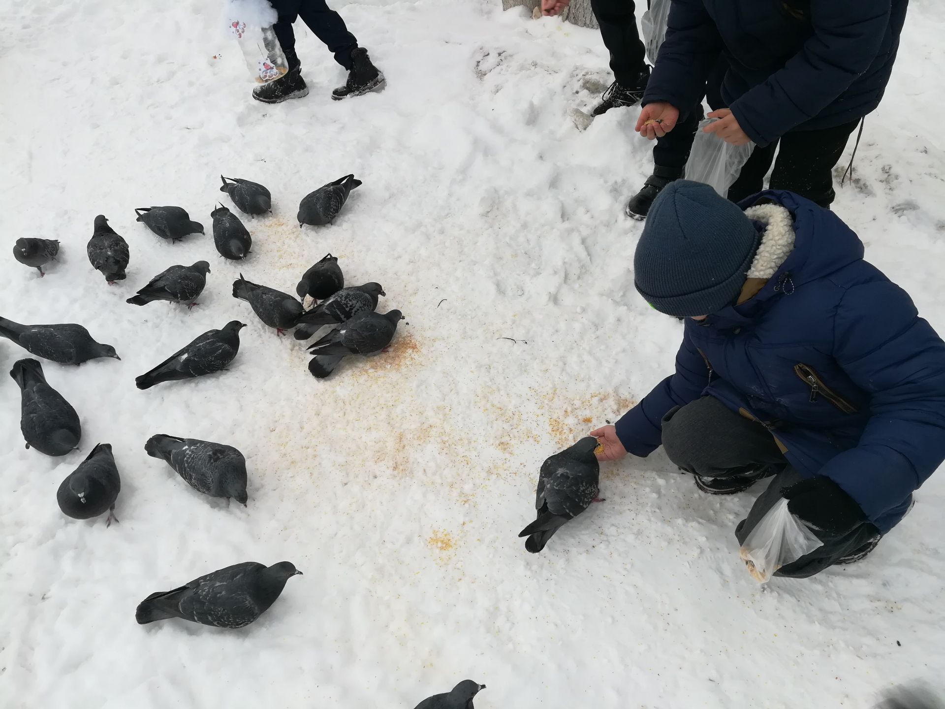 Әлмәт балалары изге гамәл кылды [+ФОТОЛАР]