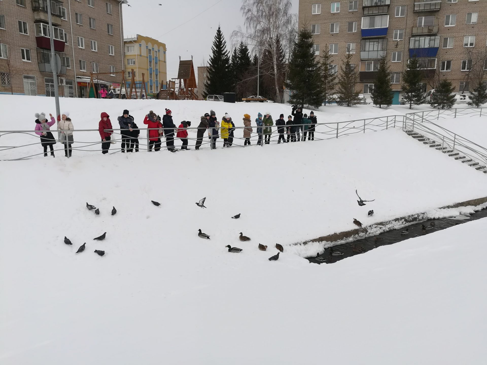 Әлмәт балалары изге гамәл кылды [+ФОТОЛАР]