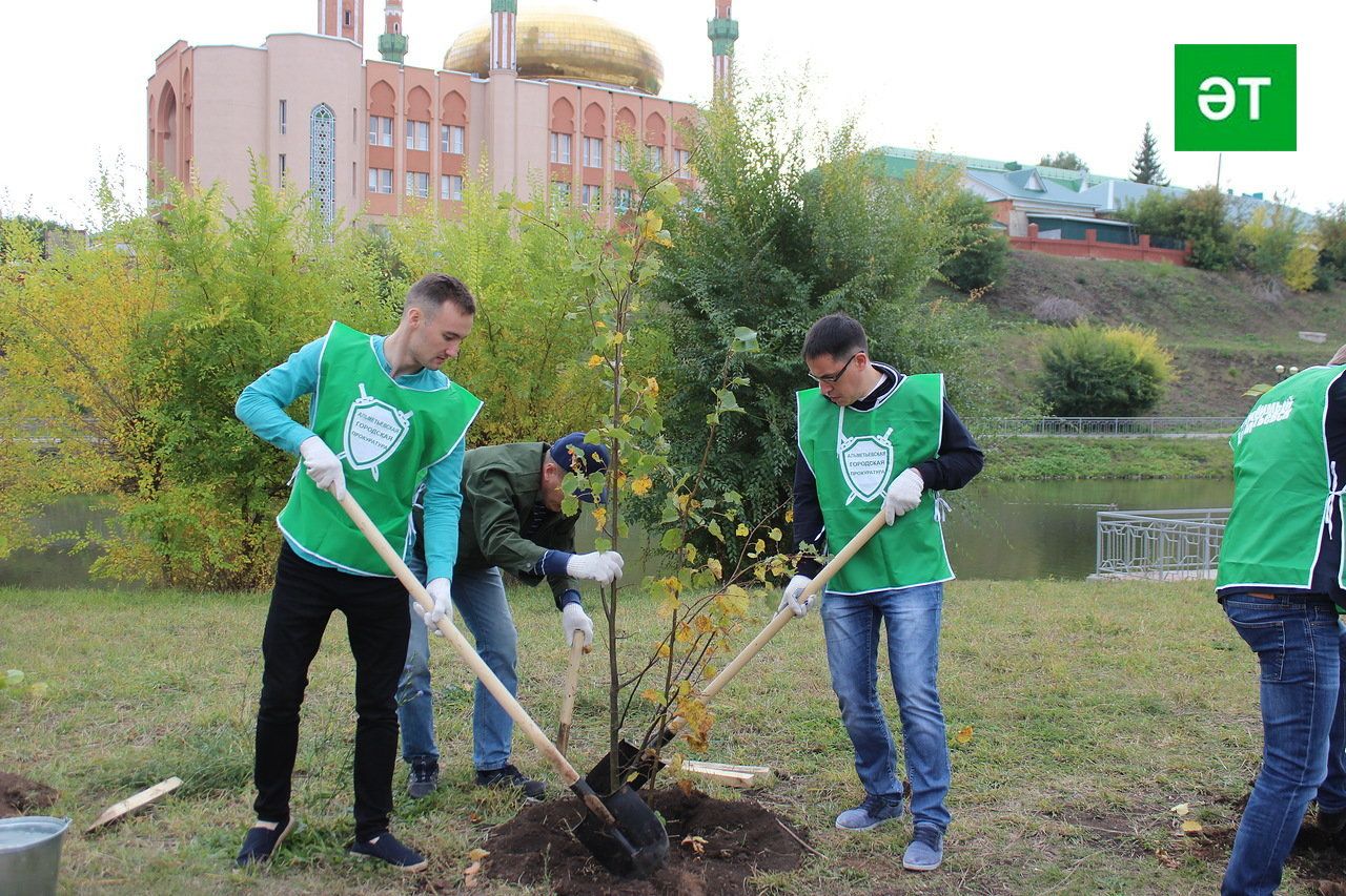 Әлмәт прокурорлары агач утыртты [+ФОТОЛАР]