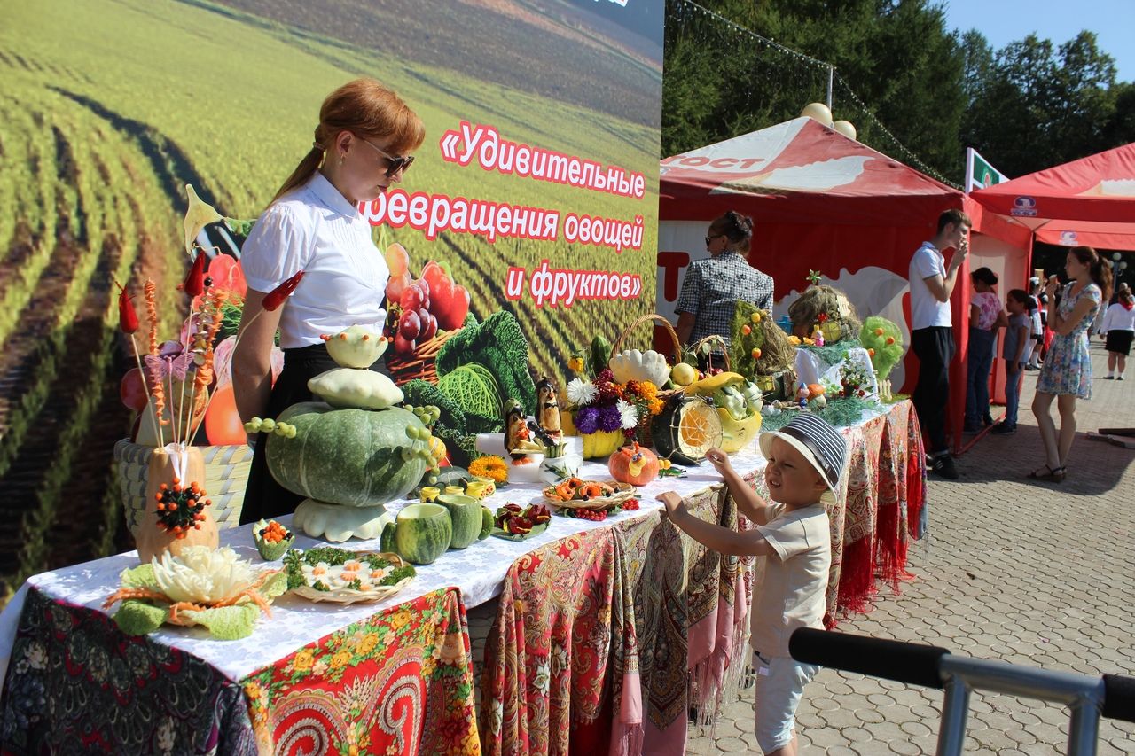 Әлмәтлеләр Татарстан Республикасы көнен бәйрәм итте [+ФОТОЛАР]