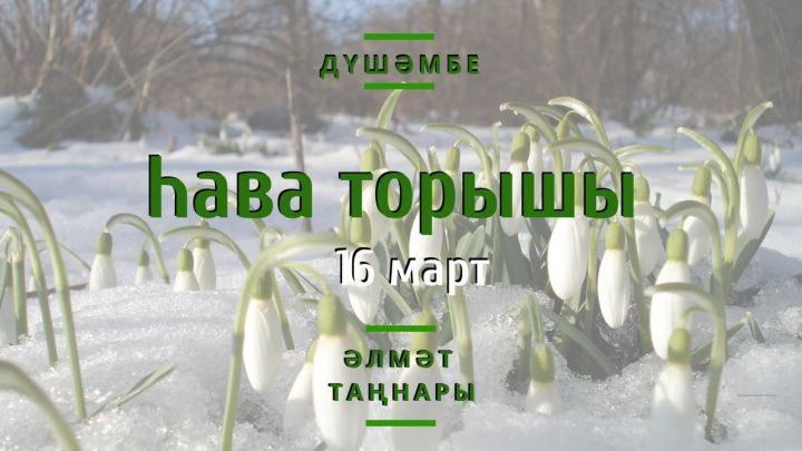 Болытлы булачак