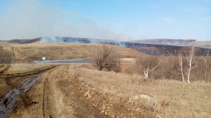 Недалеко от Альметьевска случилось возгорание сухой травы