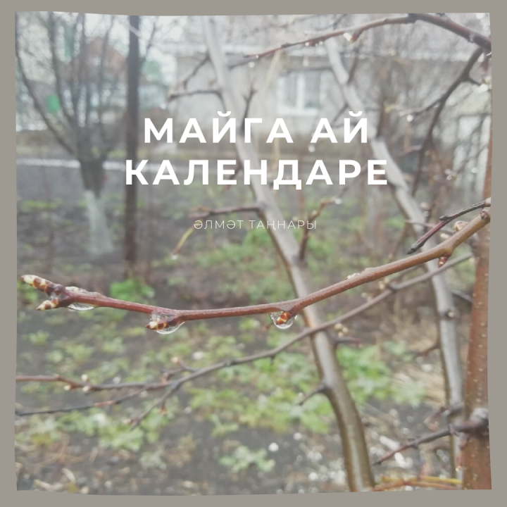 МАЙГА АЙ КАЛЕНДАРЕ