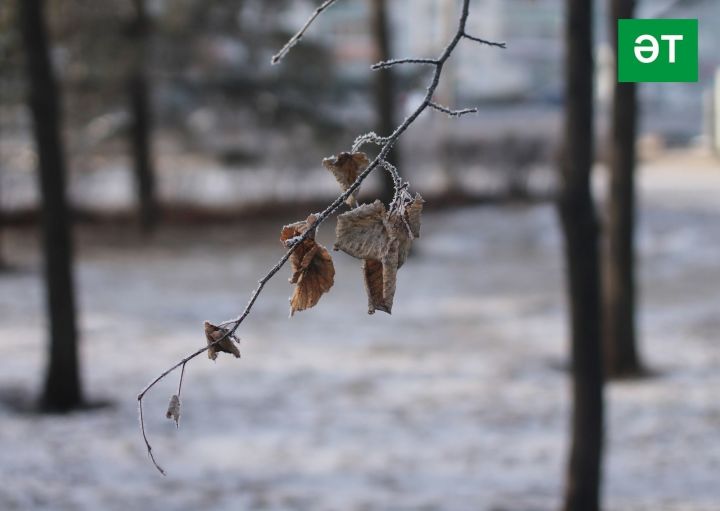 26 ноябрьгә һава торышы