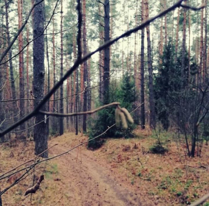 Народные приметы на 9 ноября: что нельзя делать в этот день