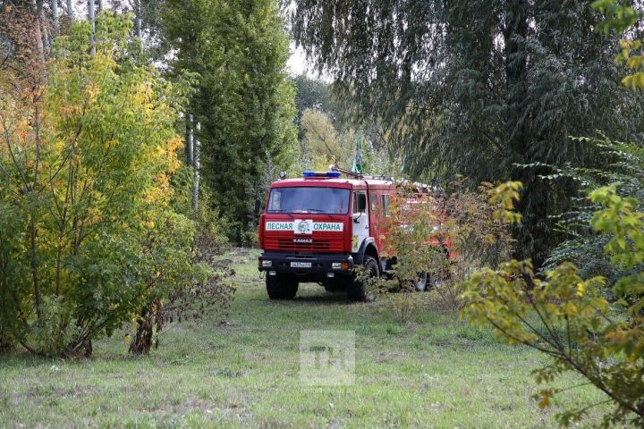 Урманчылар сакны көчәйтә: аномаль эсселек аркасында Казан янында ял итү урыннары ябылырга мөмкин