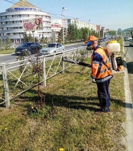 Әлмәттә алма һәм шомырт агачларын корткычлардан эшкәртә башладылар