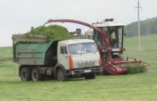 Әлмәт районында авыл хуҗалыгы хезмәткәрләре терлек азыгы әзерли