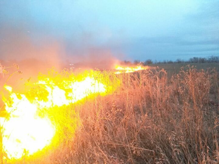 Бу елның апрель аеннан Әлмәт районында үлән, чүп-чар януның 132 очрагы ачыкланган