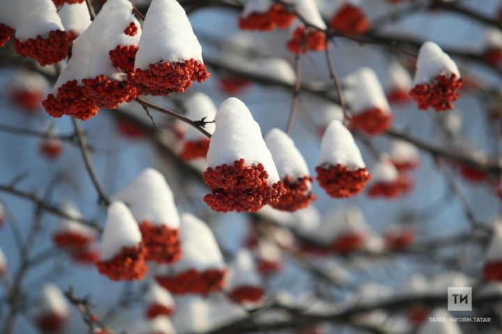 Синоптик Россиянең Үзәк өлешендә кыш нинди булачагы хакында сөйләде