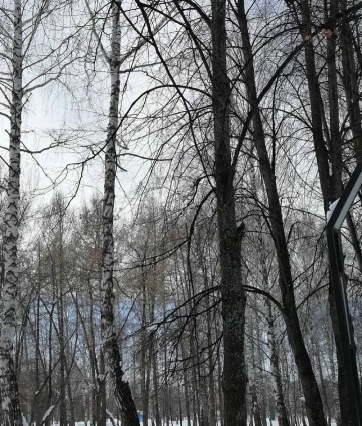 Чтобы деньги водились