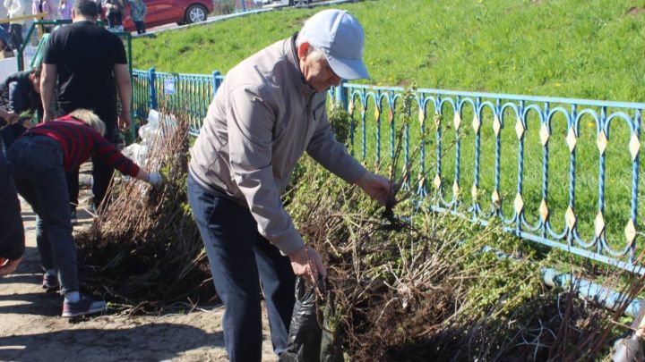 600дән артык әлмәтле макулатура, батарейкаларны  үсентеләргә алыштырдылар