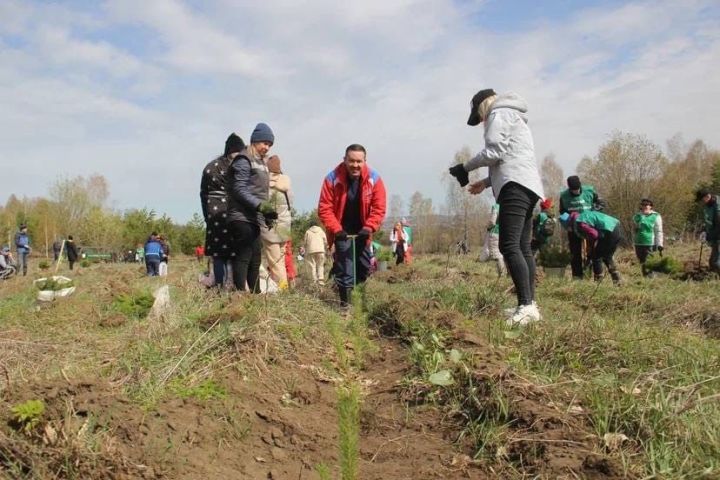 Бөек Ватан сугышында Җиңүнең 77 еллыгын бәйрәм итү кысаларында Әлмәттә акция узды