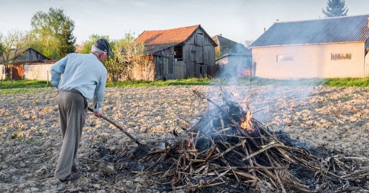 Пластика яна, тик экологиягә зыяны юк икән...