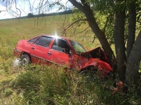 В Альметьевском районе автомобиль съехал в кювет и врезался в дерево