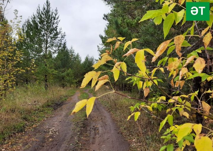 Народные приметы: 5 сентября. Не делайте это в Лупов день, если хотите чтобы сбылись все ваши мечты