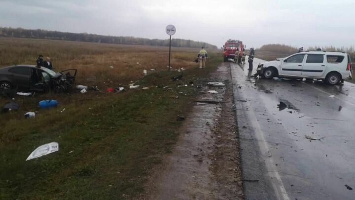 В Альметьевском районе произошло смертельное ДТП