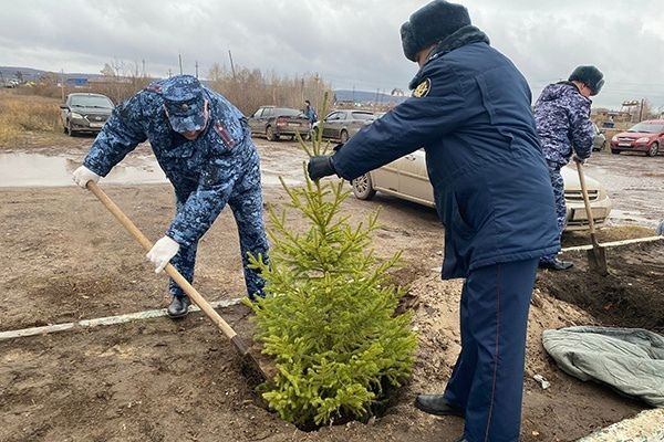 Әлмәтнең 8 нче төзәтү колониясендә ветераннар истәлеге аллеясы утыртылды