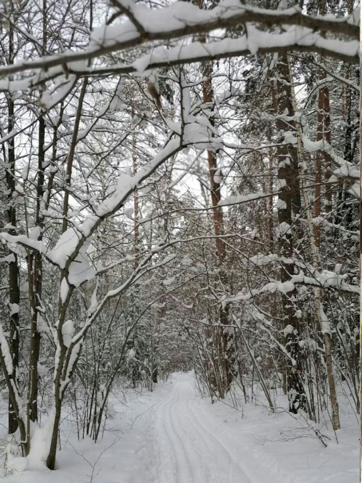 4 декабрьгә һава торышы