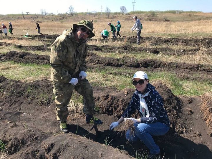 «Хәтер бакчасы» халыкара акциясендә йөздән артык әлмәтле катнашты