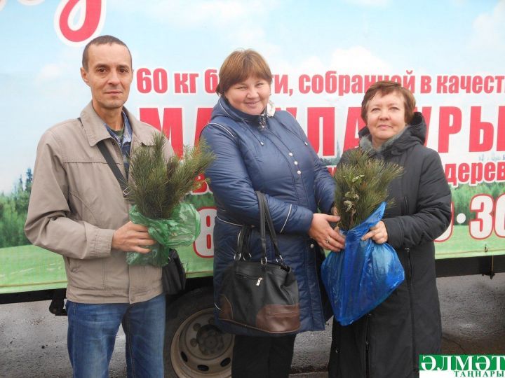 Әлмәттә 9,5 тонна макулатура  агач үсентеләренә алыштырылган