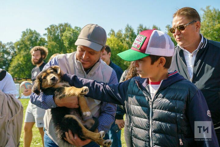 Әлмәттә  дог-френдли мәдәниятен үстерү темасына очрашу узачак