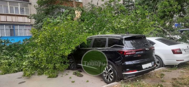 Бүген Әлмәтнең Төзүчеләр проспектында күңелсез вакыйга булды