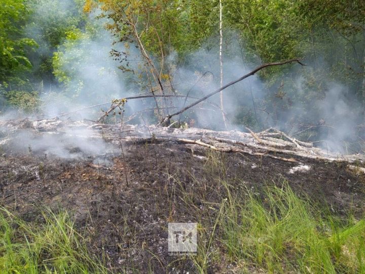 Тимур Нагуманов әлмәтлеләрне корылык һәм эсселек аркасында учаклар яндырмаска чакырды