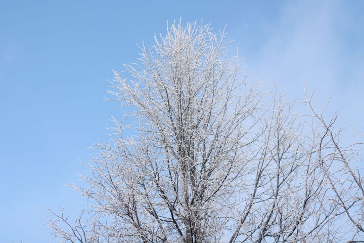 15 гыйнварга һава торышы