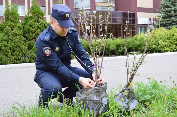 Әлмәт полициясе «Хәтер бакчасы» акциясенә кушылды