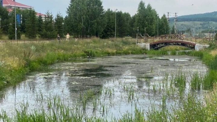 Әлмәтлеләрнең шикаятьләреннән соңшарлавыклы буаларны механик чистарту башланды