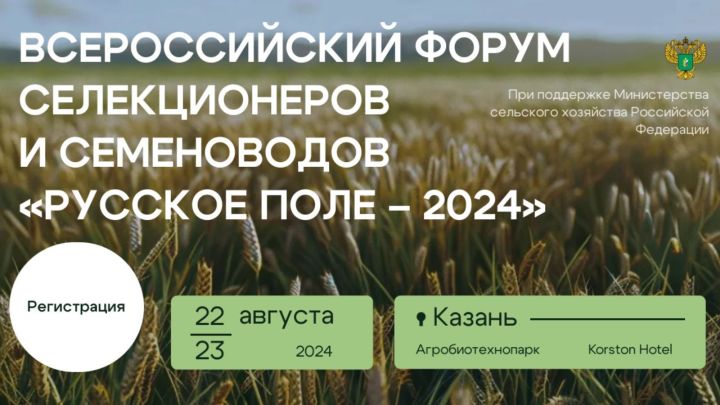 22-23 августа в Казани I Всероссийский форум селекционеров и семеноводов «Русское поле – 2024»